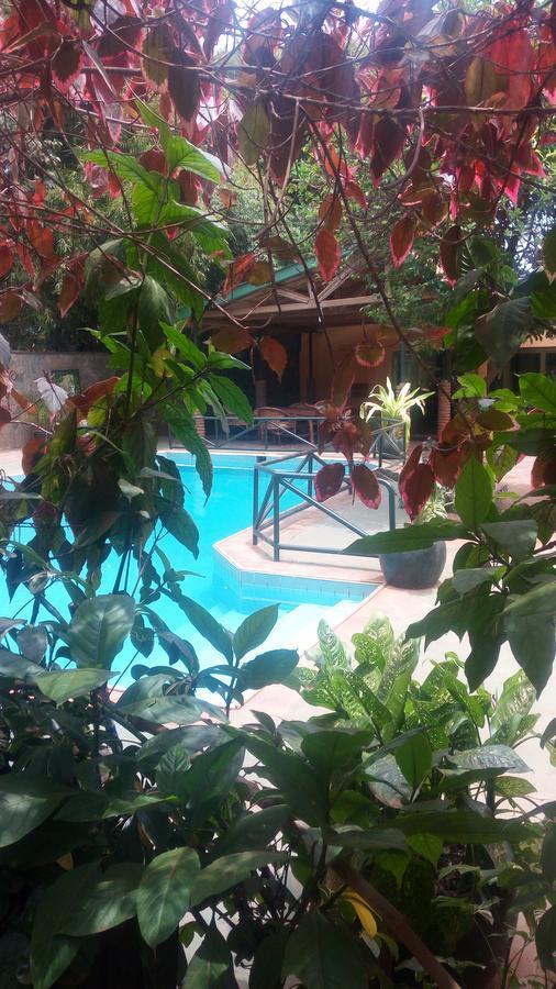 Ngorongoro Lodge 卡拉图 外观 照片