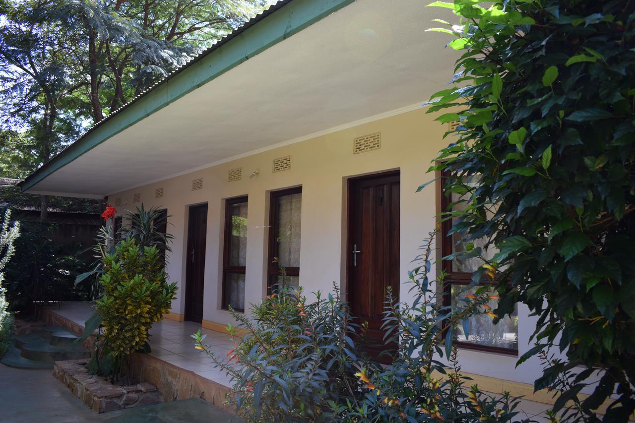 Ngorongoro Lodge 卡拉图 外观 照片